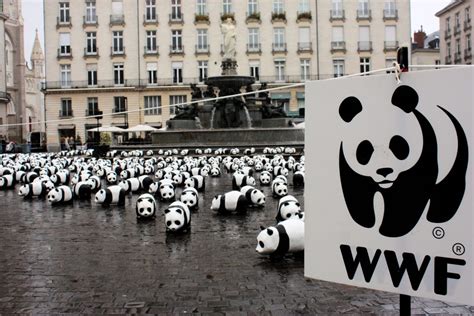 world wildlife fund scam.